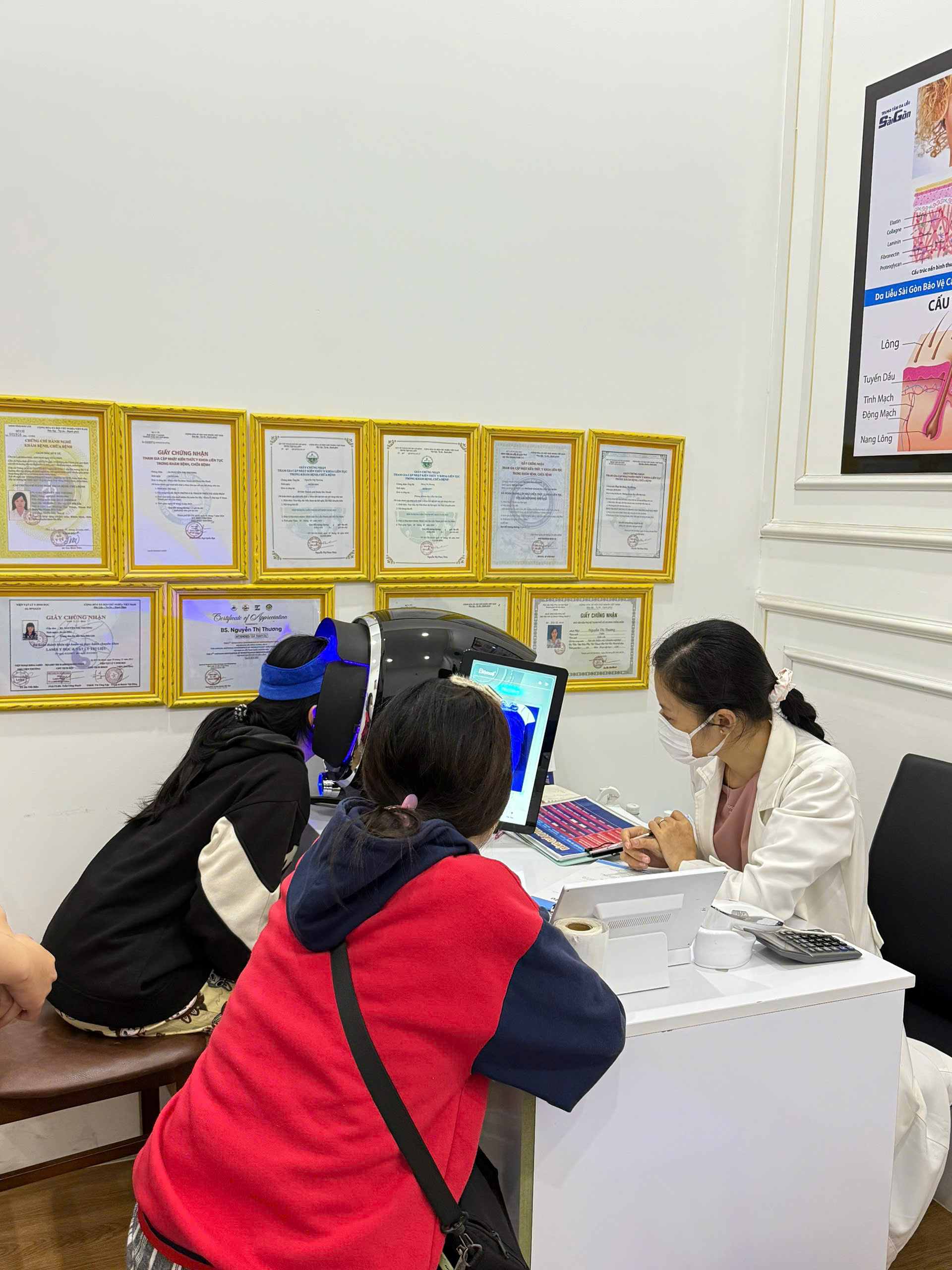 Da liễu biên hòa